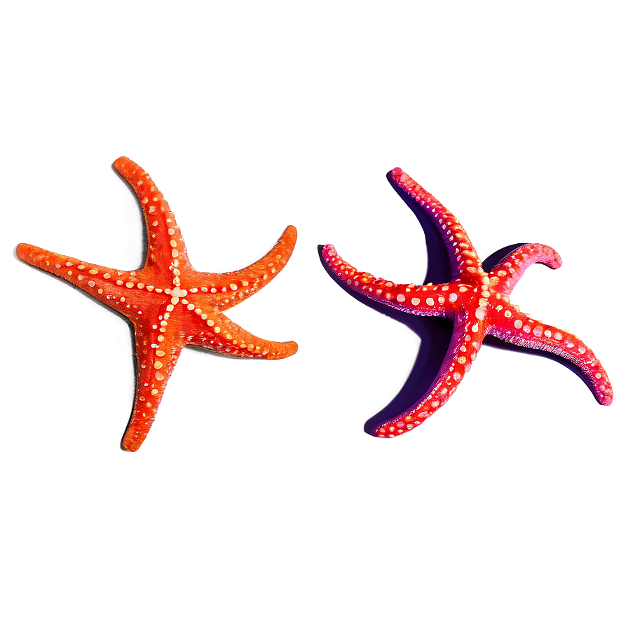 Starfish With Sunglasses Png Tlm