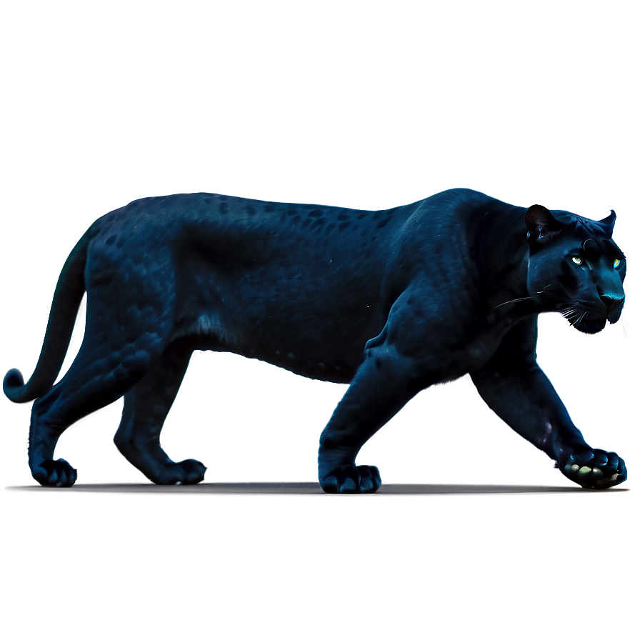 Stealthy Panthers In Night Png 74