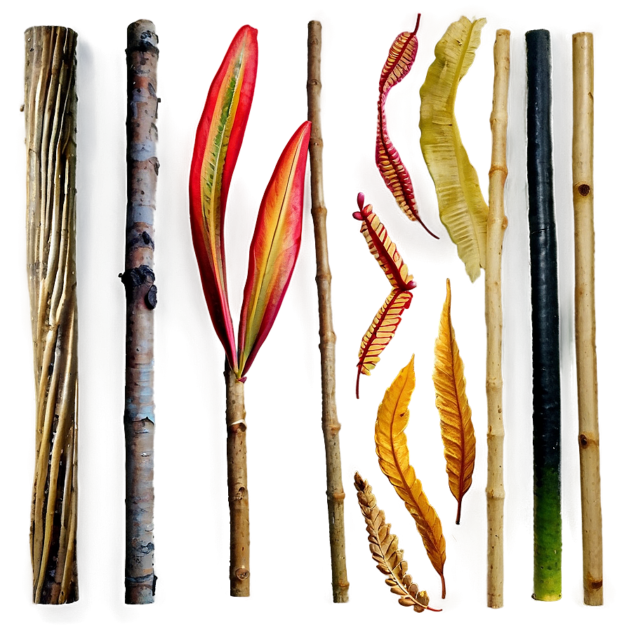 Sticks And Leaves Png Sqk