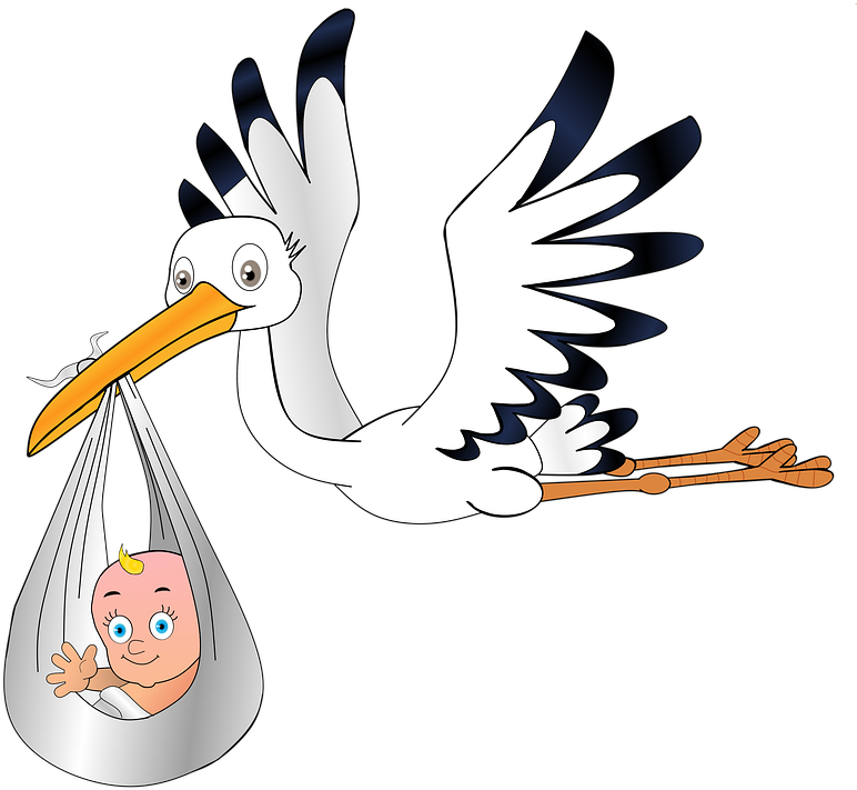 Stork Delivering Baby Cartoon