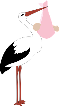 Stork Delivering Baby Illustration