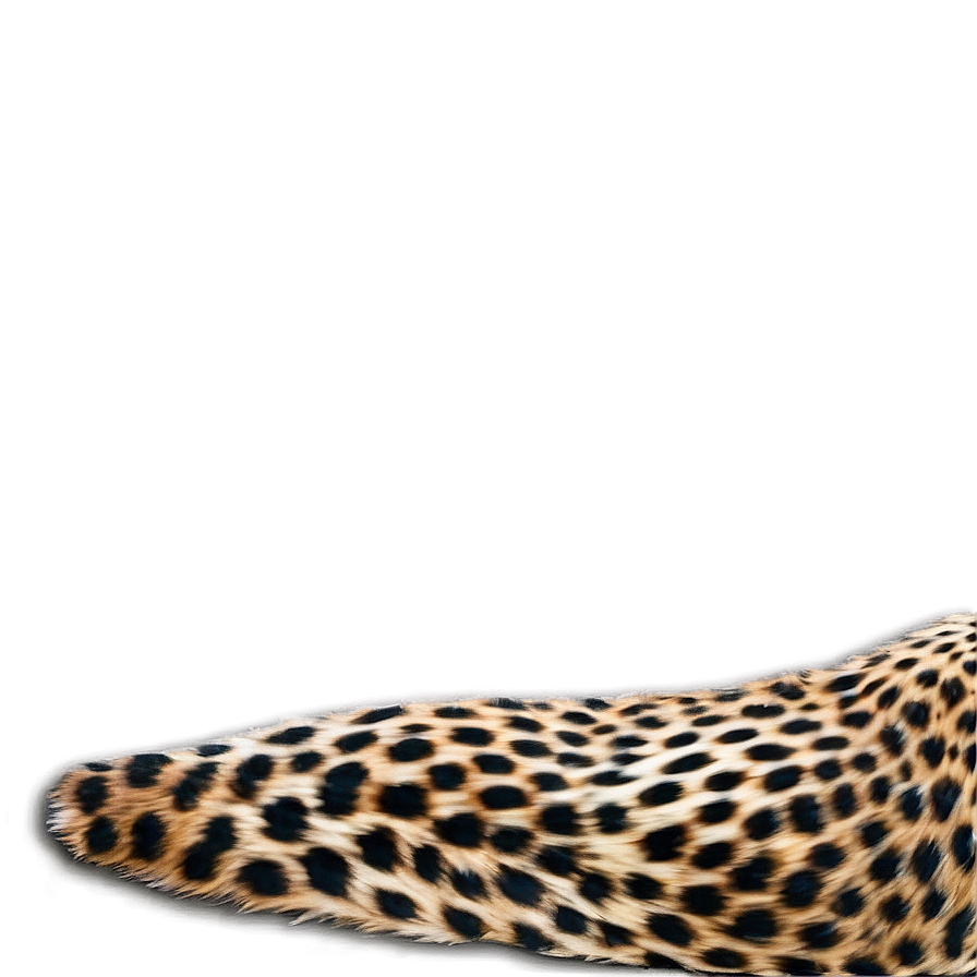 Stylish Cheetah Print Graphics Png Yky