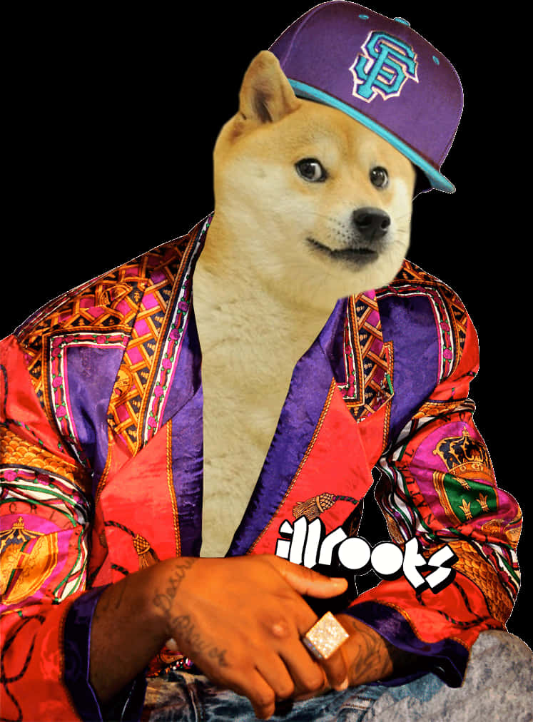 Stylish Dogein Hip Hop Outfit