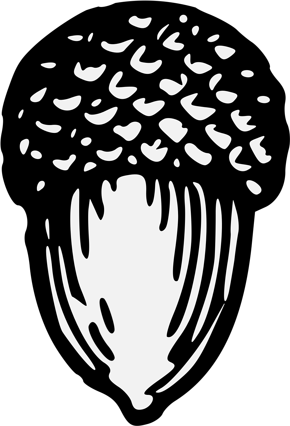 Stylized Acorn Illustration