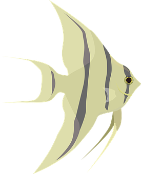 Stylized Angelfish Illustration