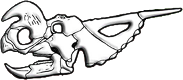 Stylized Animal Skull Drawing