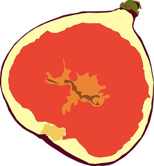 Stylized Apple Cross Section