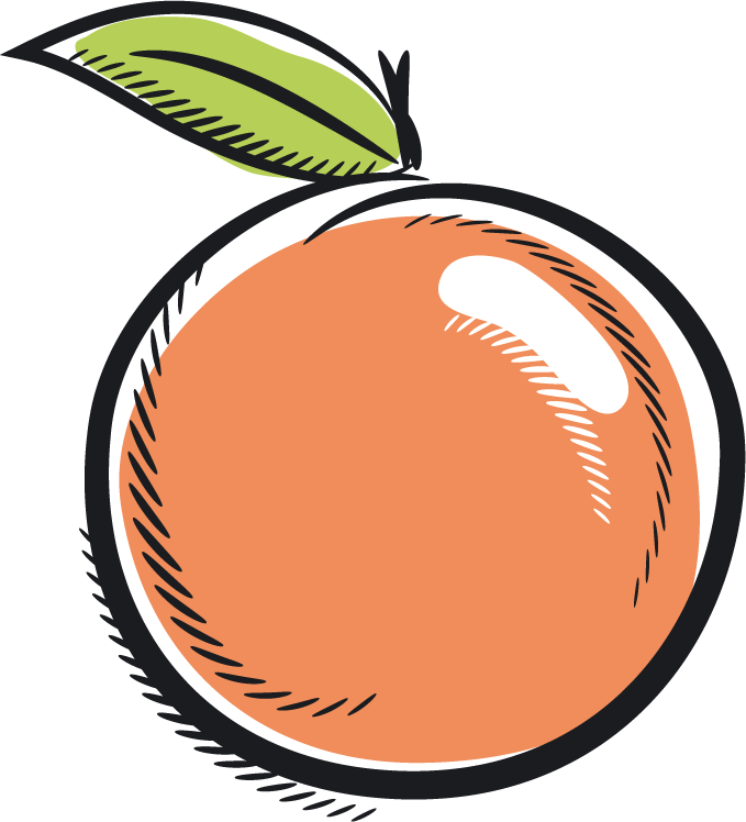 Stylized Apricot Illustration