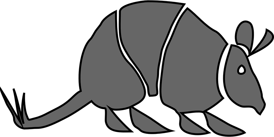 Stylized Armadillo Illustration