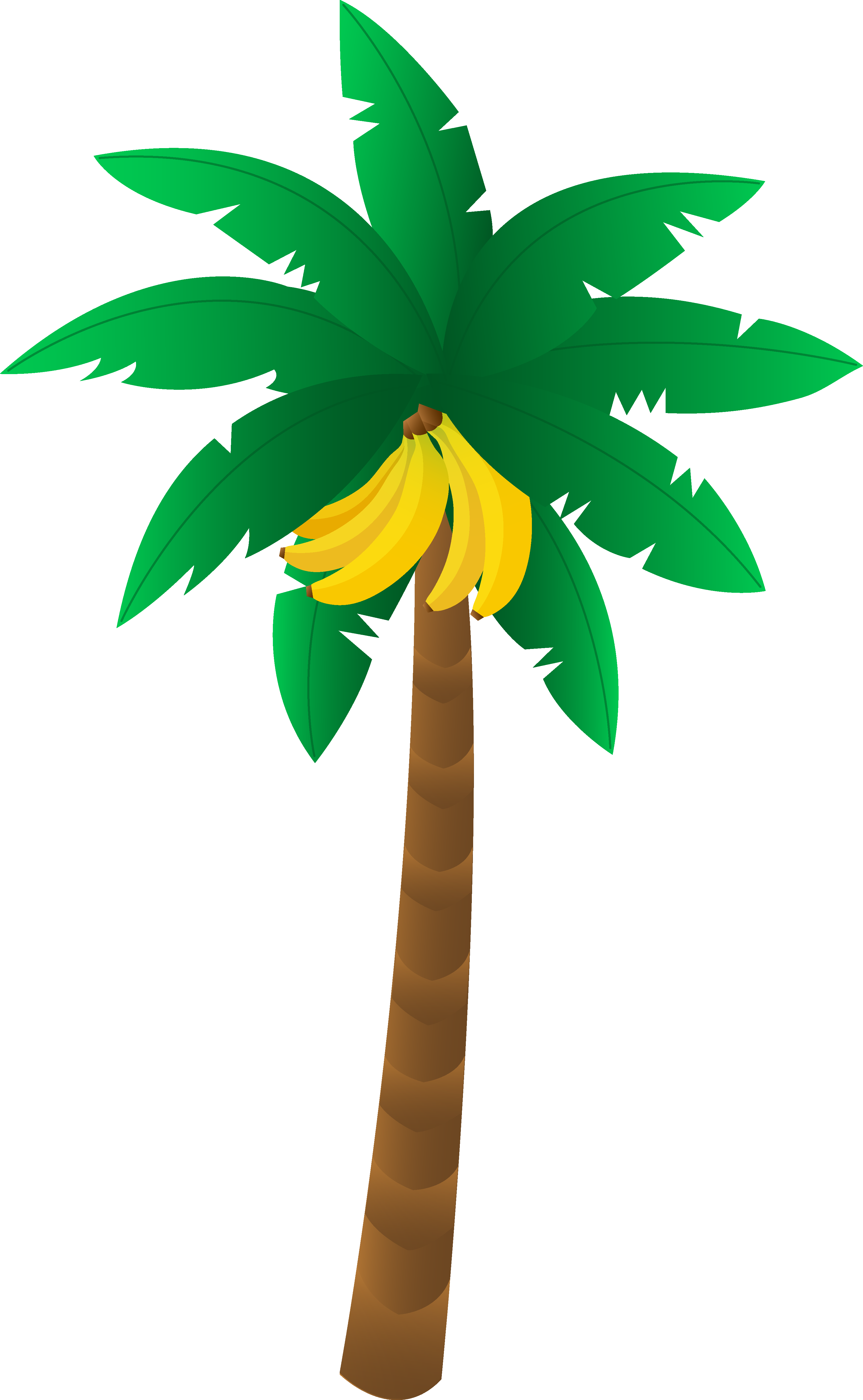 Stylized Banana Tree Illustration