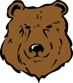 Stylized Bear Head Graphic