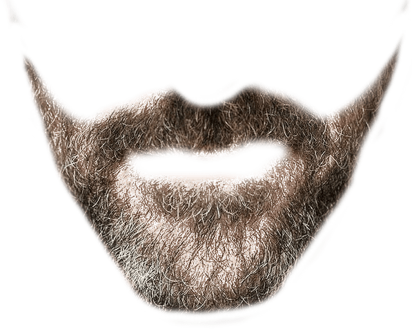 Stylized Beard Graphic