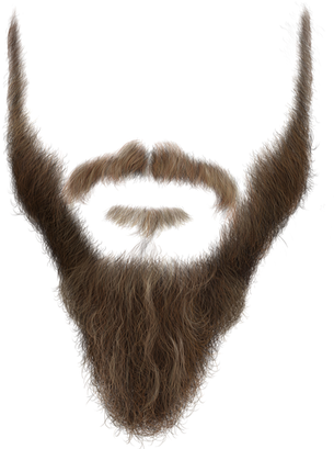 Stylized Beard Illustration