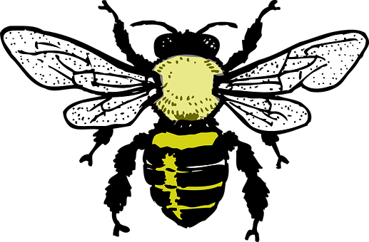 Stylized Bee Illustration