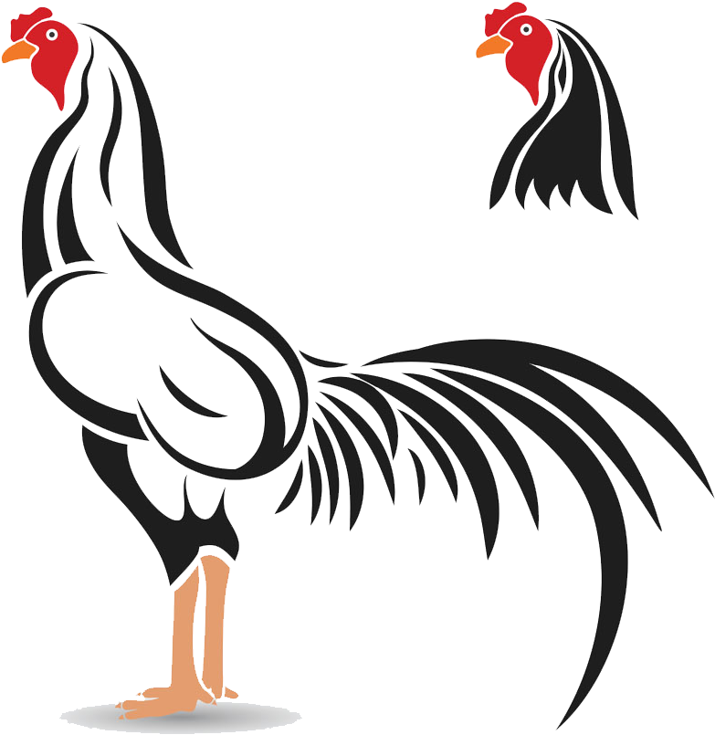 Stylized Black Rooster Illustration