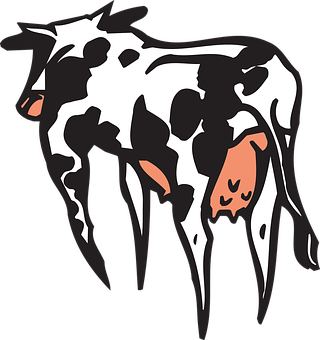 Stylized Blackand White Cow Illustration