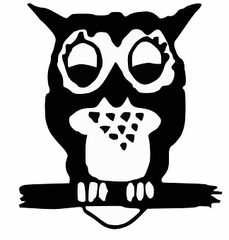 Stylized Blackand White Owl Illustration