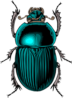 Stylized Blue Beetle Illustration