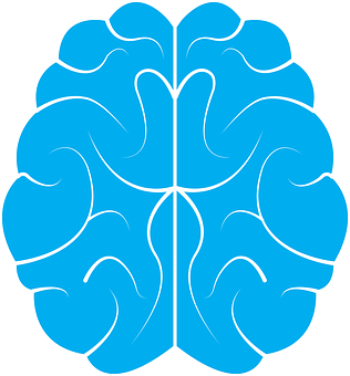 Stylized Blue Brain Graphic