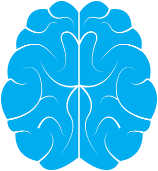 Stylized Blue Brain Outline