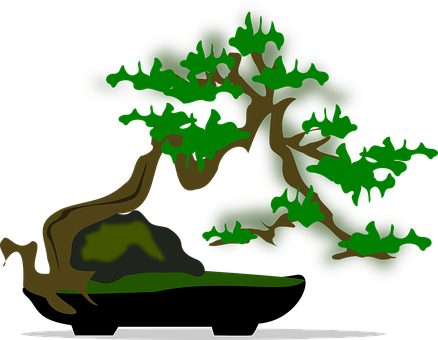 Stylized Bonsai Tree Illustration