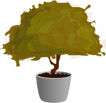 Stylized Bonsai Tree Illustration