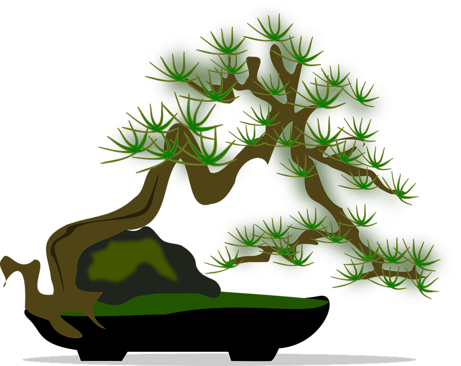 Stylized Bonsai Tree Illustration