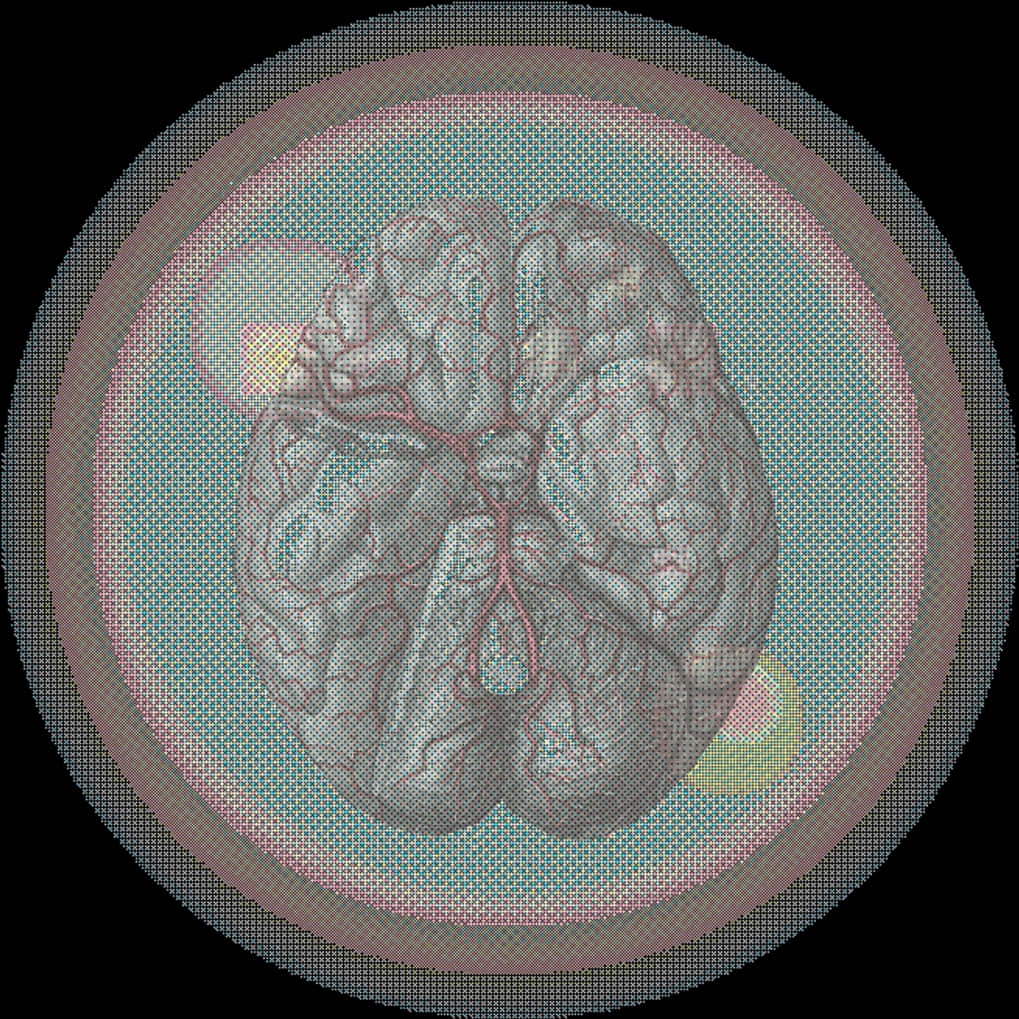 Stylized Brain Illustration