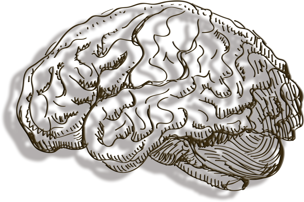 Stylized Brain Illustration