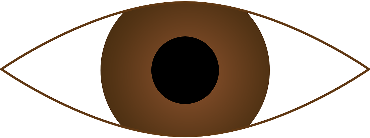 Stylized Brown Eye Clipart