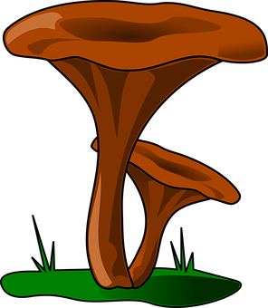 Stylized Brown Mushroom Vector