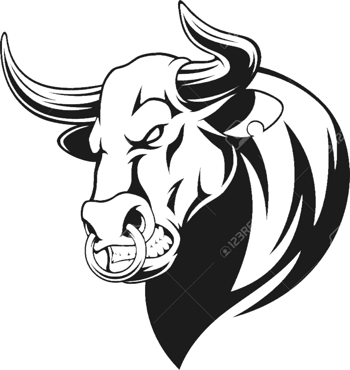 Stylized Bull Graphic