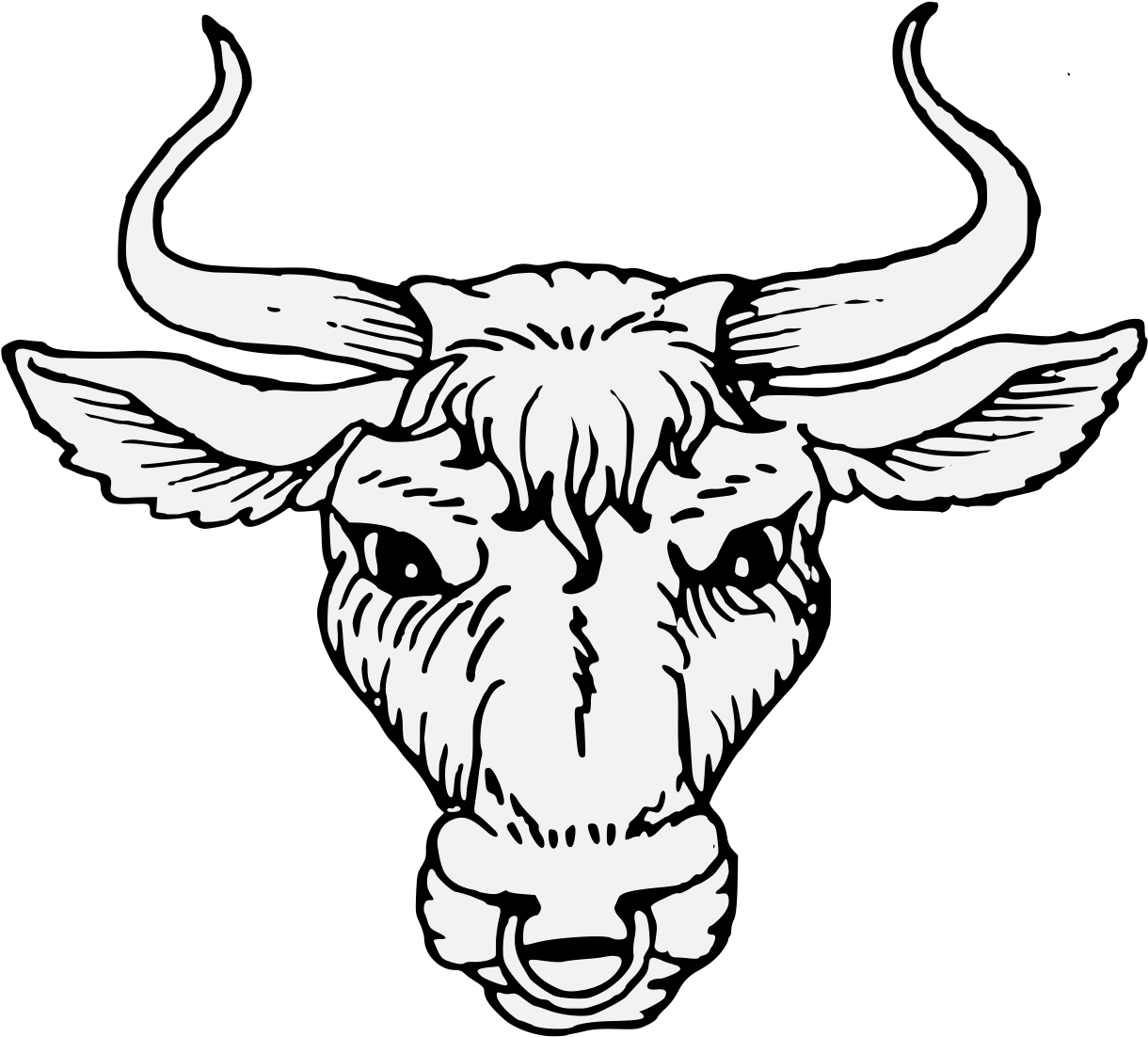 Stylized Bull Head Illustration