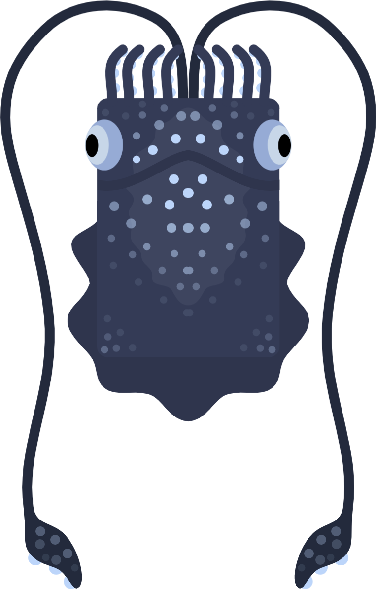 Stylized Cartoon Squid Illustration