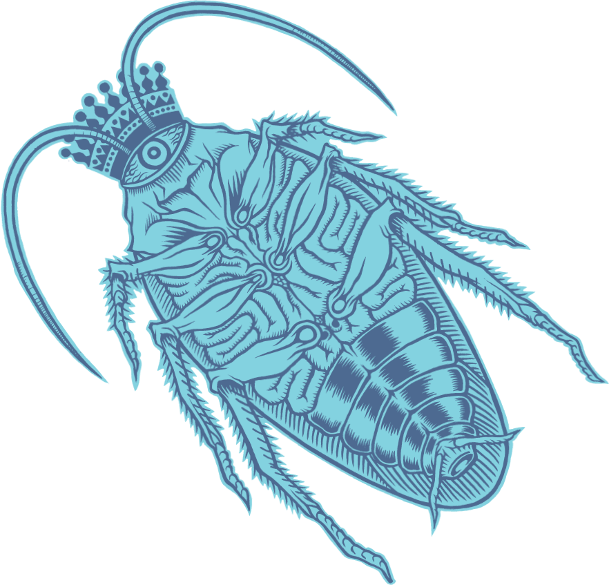 Stylized Cockroach Illustration