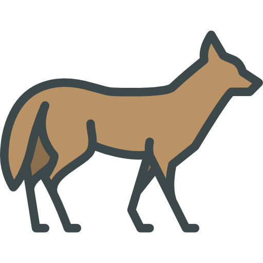 Stylized Coyote Graphic