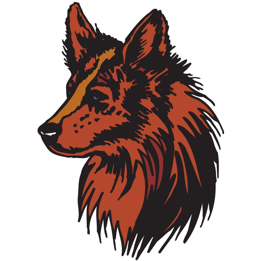 Stylized Coyote Portrait