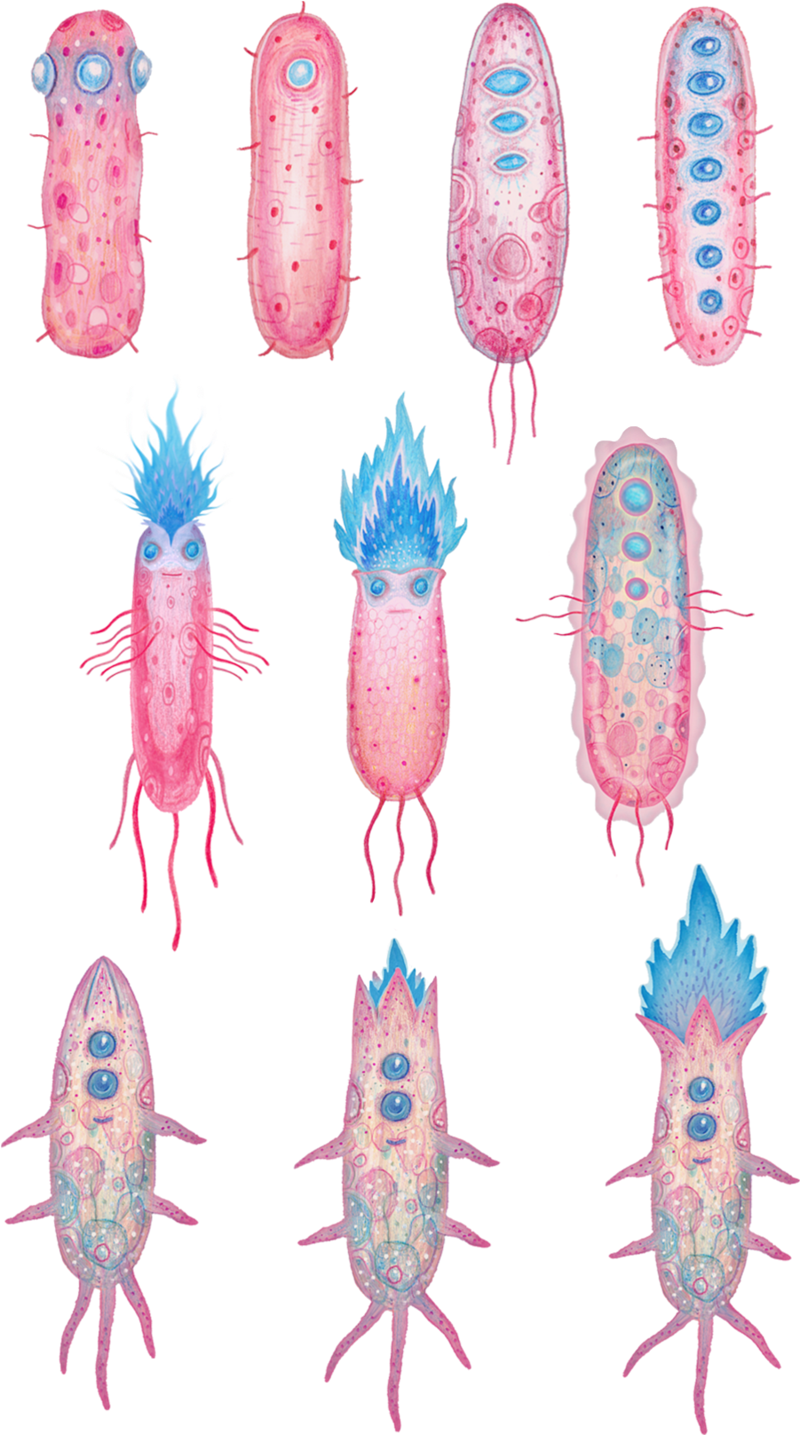 Stylized Crayfish Illustrations