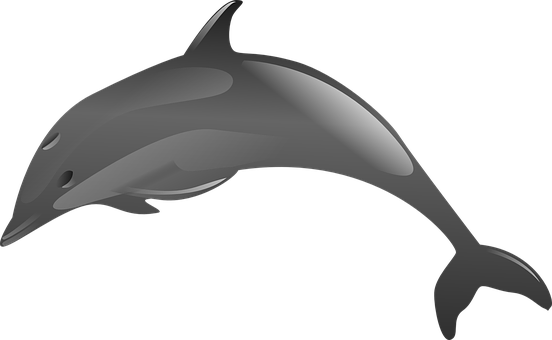 Stylized Dolphin Graphic