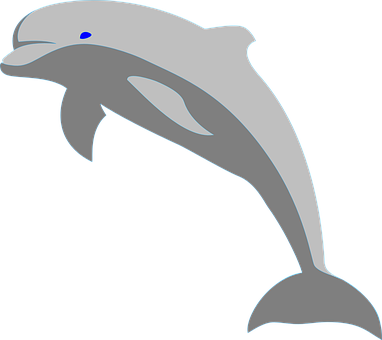 Stylized Dolphin Graphic