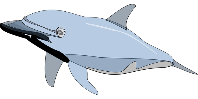 Stylized Dolphin Illustration