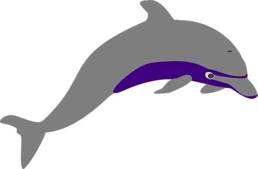 Stylized Dolphin Illustration