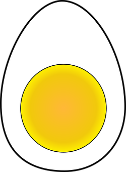Stylized Egg Illustration