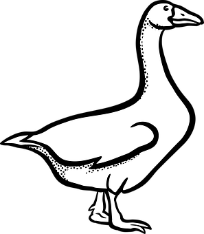 Stylized Goose Silhouette