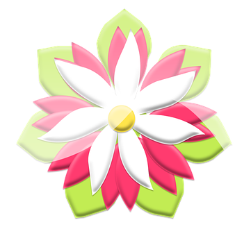 Stylized Graphic Flower Illustration