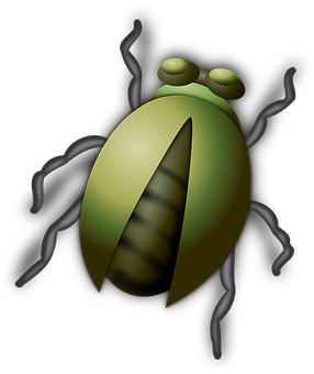 Stylized Green Beetle Illustration