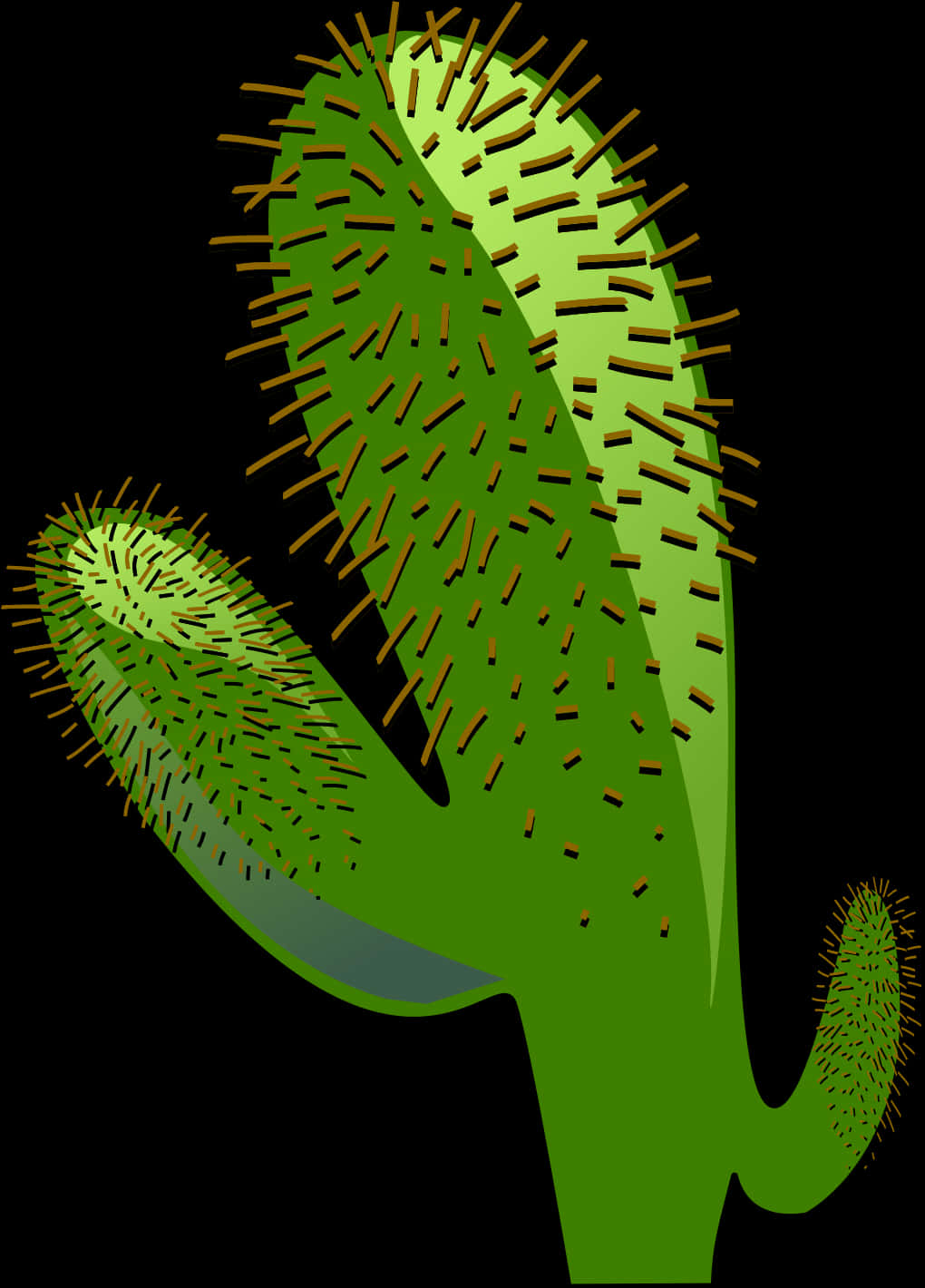 Stylized Green Cactus Illustration