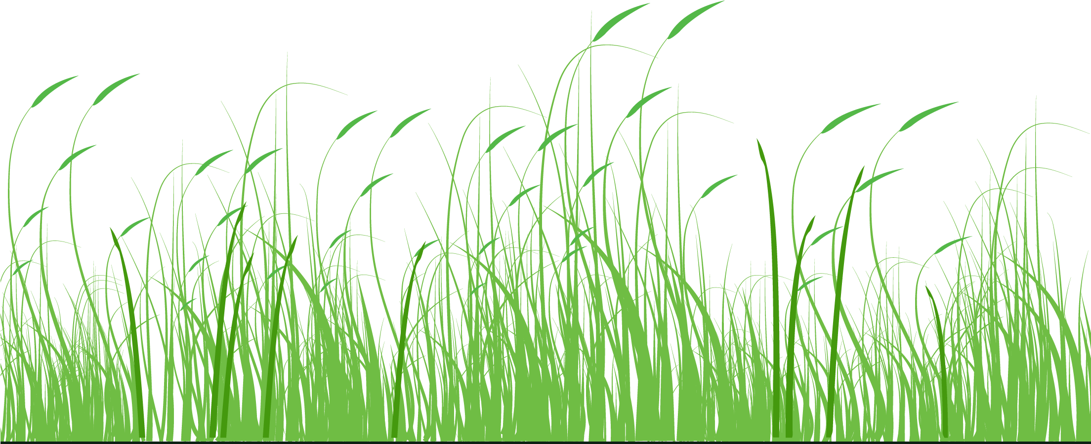 Stylized Green Meadow Vector