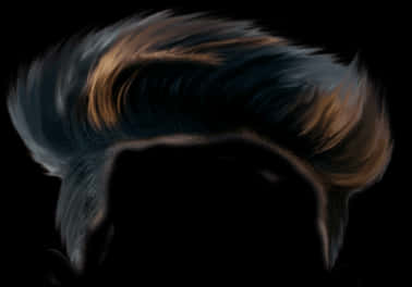 Stylized Hair Silhouette