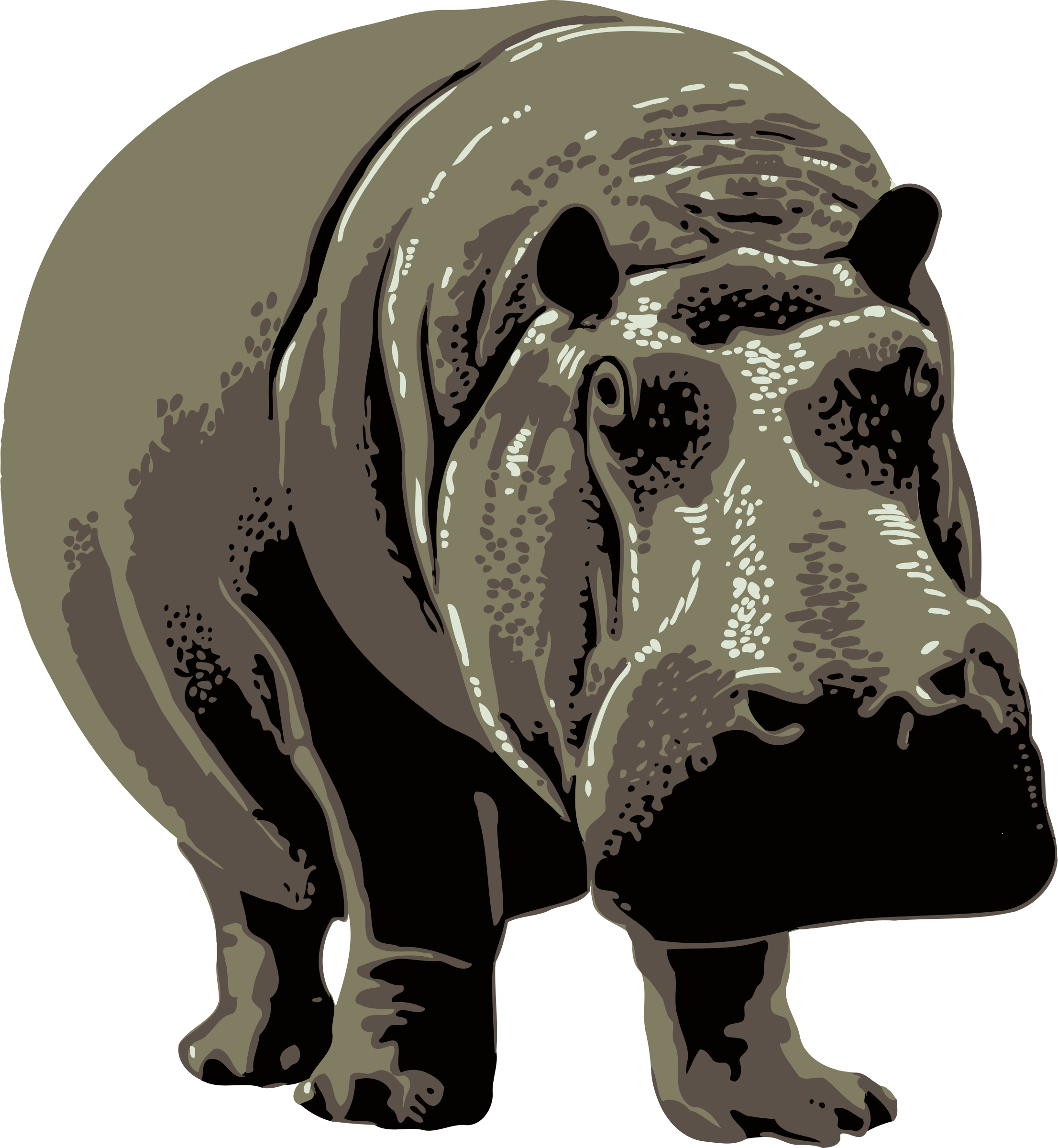 Stylized Hippopotamus Illustration